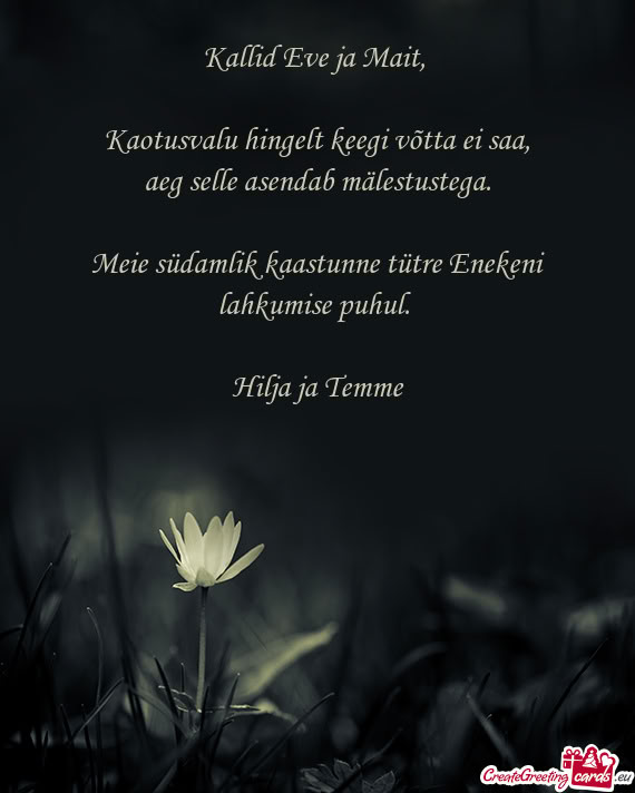 Kaotusvalu hingelt keegi võtta ei saa